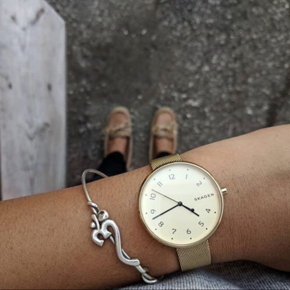 Skagen gold tone mesh wash brand new